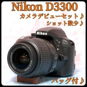 ニコン D3300★ショット数少★一眼レフカメラ★簡単撮影★手ぶれ補正