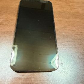Apple iPhone 13 Pro 本体