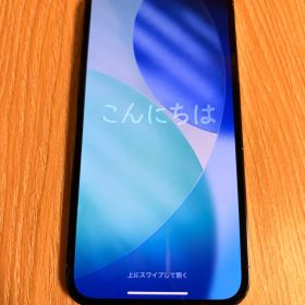 Apple iPhone 13 Pro 本体のみ！ 最終値引き
