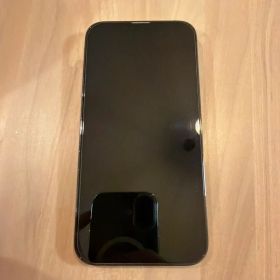 Apple iPhone 13 Pro グラファイト 本体 SIMフリー 73%