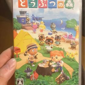 あつまれ どうぶつの森 Nintendo Switch