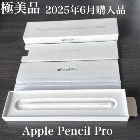 極美品 2025年6月購入 Apple Pencil Pro MX2D3ZA/A