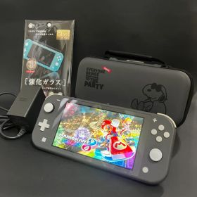 ✨新品スティック交換済✨ Nintendo Switch Lite グレー 本体