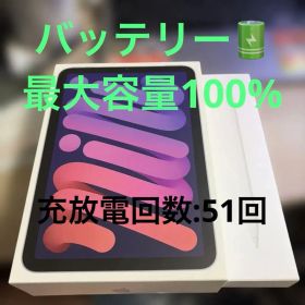 Apple iPad mini 第6世代 Wi-Fi 256G 純正ペンシ 本体