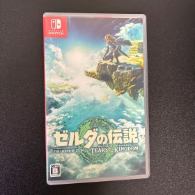 ゼルダの伝説 ティアーズ オブ ザ キングダム Switch