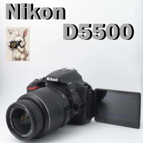 【Wi-Fi搭載＆タッチパネル】Nikon D5500 レンズキット 一眼レフ