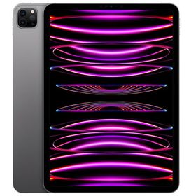 Apple iPad Pro 11インチ 第4世代 Wi-Fi 2TB 2022年秋モデル MNXM3J/A [スペースグレイ]