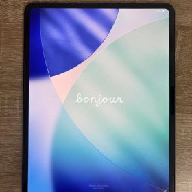 Apple iPad Pro M5 13インチ 256G