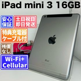 iPad mini 3 16GB スペースグレイ SIMフリー(simロック解除済) 白ロム 中古 本体 動作確認済 【最短送料無料】G5-173