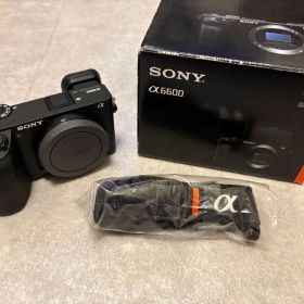 SONY α6600 ボディ ミラーレス一眼カメラ