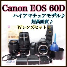 ✨すぐに使える✨キャノン EOS 60D Wレンズ バッテリー2個 高性能
