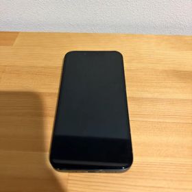 Apple iPhone 13 mini本体 充電ケーブル付き