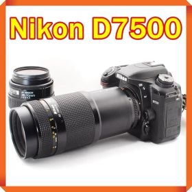 少シャッター Nikon D7500 一眼レフカメラ スマホ転送 ダブルレンズ