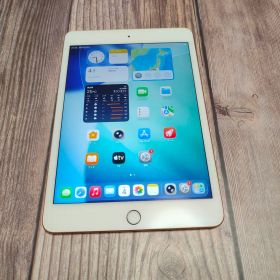 iPad mini 第5世代 64GB 美品 バッテリー90%