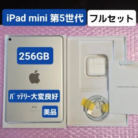 美品 iPad mini 第5世代 256GB バッテリー大変良好 フルセット