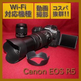 ❤️予備電池付き❤️Canon EOS R５ ダブルズームレンズセット❤️