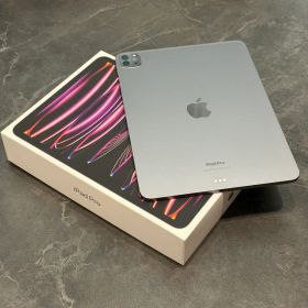 レ*イ様 Apple iPad Pro 11インチ 第4世代 M2 Wi-Fiモ