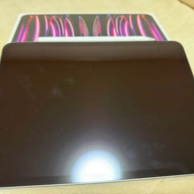 Apple iPad Pro 本体＋ペン 11インチ第4世代 m2