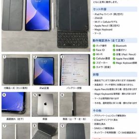 iPad Pro 11インチ 第2世代 256GB