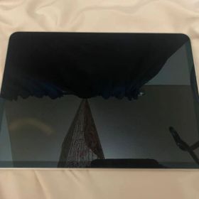 iPad Pro 11インチ 256GB第4世第Wi-Fi + Cellular