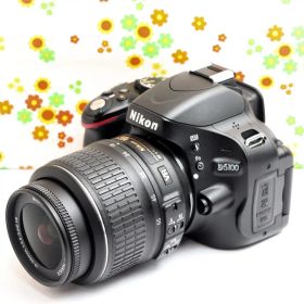ニコン Nikon D5100☆スマホに送れる☆可動式液晶☆フルHD動画