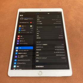 4433【早い者勝ち】iPad Pro 256GB 10.5インチ SIMフリー