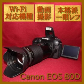 ✨Wi-Fi内蔵機種✨Canon EOS 80D 近遠対応万能レンズセット✨