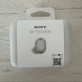 SONY ワイヤレスイヤホン WF-1000XM6
