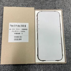 豚*！様 Q*t様 Apple iPhone 16 Pro Max 256GB