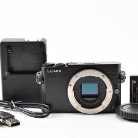 Panasonic LUMIX DMC-GM5 ミラーレス一眼 本体 バッテリー
