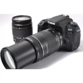 【中古】【1ヶ月保証】 デジタル一眼 CANON キヤノン EOS 9000D 標準＆望遠ダブルズームセット