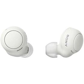 ソニー 完全ワイヤレスイヤホン WF-C500 : /軽量小型5.4g/高精度通話品質/簡単ペアリング/IPX4防滴性能/ホワイト WF 送料無料