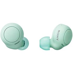 ソニー(SONY) 完全ワイヤレスイヤホン WF-C500 : /軽量小型5.4g/高精度通話品質/簡単ペアリング/IPX4防滴性能/アイスグリ