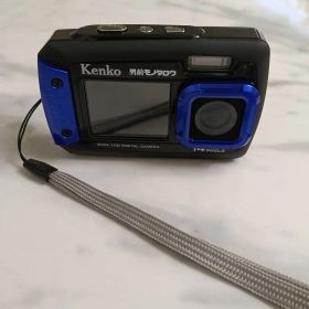 Kenko ケンコー DSC1480DW 単4電池式 防水 デュアルモニター