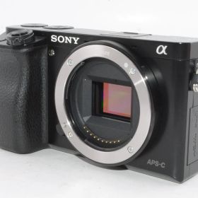 SONY ミラーレス一眼 α6000 ILCE-6000