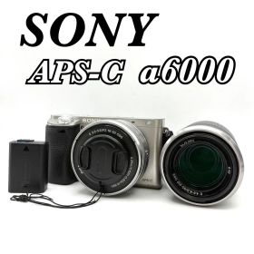 【完動品 美品】SONY ソニー α6000 ダブルズームレンズキット ILCE-6000 ミラーレス一眼 E PZ 16-50mm F3.5-5.6 OSS + E 55-210mm F4.5-6.3 OSS シルバー ILCE-6000Y 返金保証