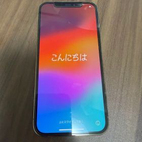 Apple iPhone 12 Pro 本体
