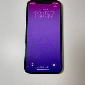 iPhone 12Pro パシフィックブルー256GB Simフリー