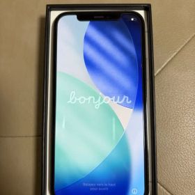 Apple iPhone 12Pro 256GB SIMフリー