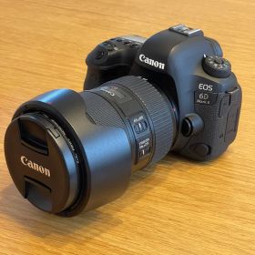 Canon EOS6D MarkII 24-105mm F4L ISⅡ
