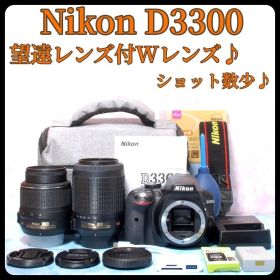 ニコン D3300★望遠レンズ付Wレンズ★S数少★一眼レフカメラ