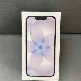 新品未開封 Appleストア版 SIMフリー iPhone17e 256GB ホワイト色