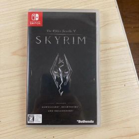 The Elder Scrolls V SKYRIM Switch