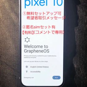 【最安値】アンチスパイフォン Google Pixel 10インディゴ 本体