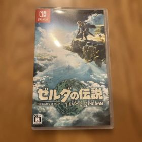 ゼルダの伝説 ティアーズ オブ ザ キングダム Switch
