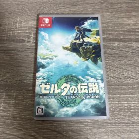 ゼルダの伝説 ティアーズ オブ ザ キングダム Switch