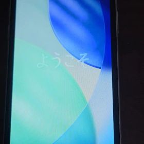 iPhone 11 256GB SIMフリー ディスプレイ新品 100%