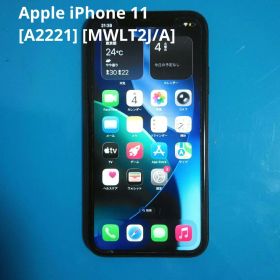 Apple iPhone 11 [A2221] [MWLT2J/A]