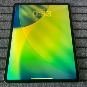 84 iPad Pro 12.9 4世代 512GB Wi-Fi