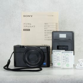 SONY サイバーショット DSC-RX100 バッテリー2個付き